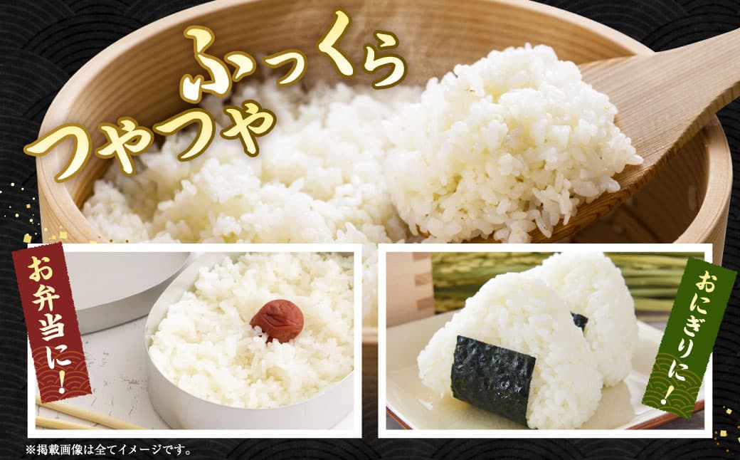 令和7年産】夢つくし 香春町産 わぎえ米 10kg（5kg×2袋） 夢つくし 